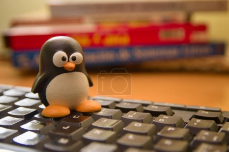 2021.Spain. Image of a Tux penguin, emblem of the Linux operating system on a computer keyboard