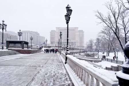 Moscow. Winter landscape