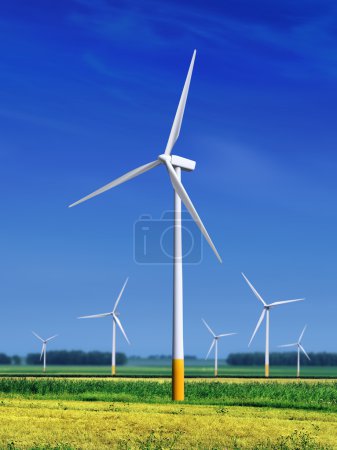Meadow with Wind turbines l