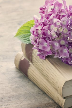 Old books with pink flowers