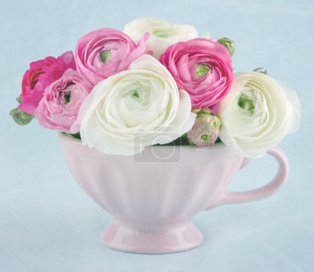 Ranunculus flowers in a pink cup