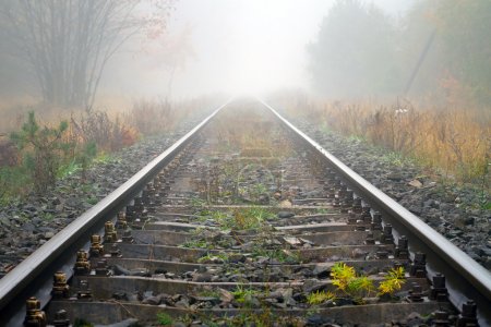 Train rails in foggy weather