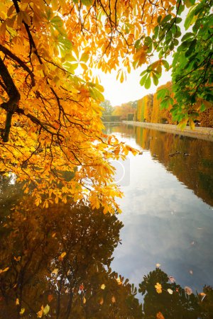 Beautiful park pond in autumn