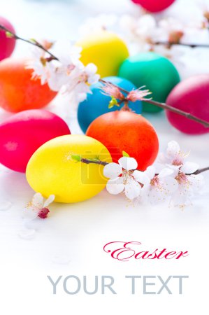 Colorful easter eggs with  flowers