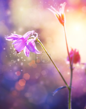 Flowers. Floral Abstract Purple Design. Soft Focus