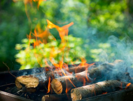 BBQ Fire outdoor. Bonfire closeup