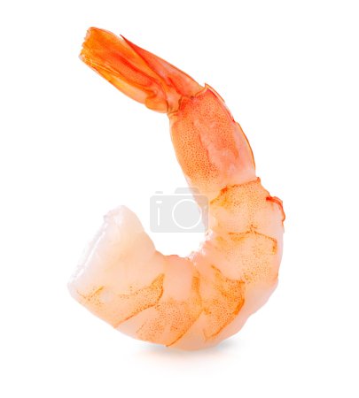 Shrimp. Prawn isolated on a White Background. Seafood