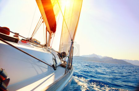 Yacht Sailing against sunset. Sailboat. Yachting. Sailing