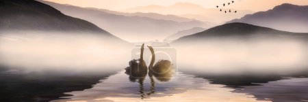 Beautiful romantic image of swans on misty lake with mountains i