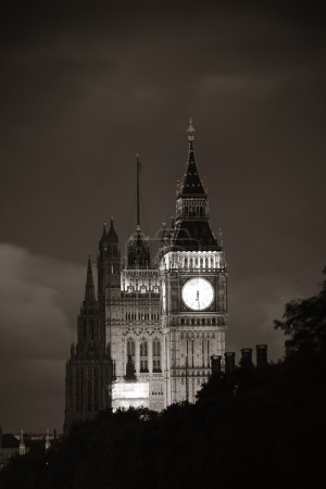Westminster Palace at night