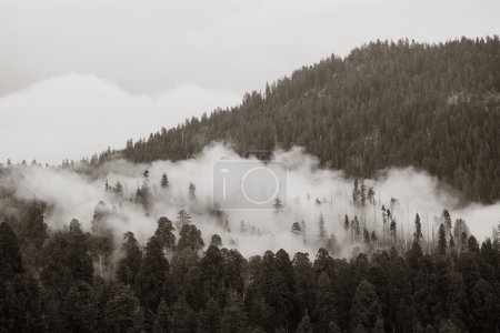 Mountain with fog