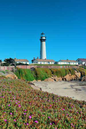 Pigeon Point lighthouse 