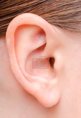 ear of a young woman