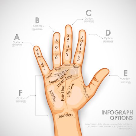 Palmistry Infographics