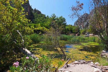 Old town Olympos in Turkey