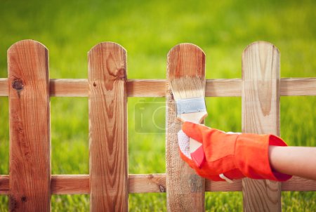 Painting wooden fence