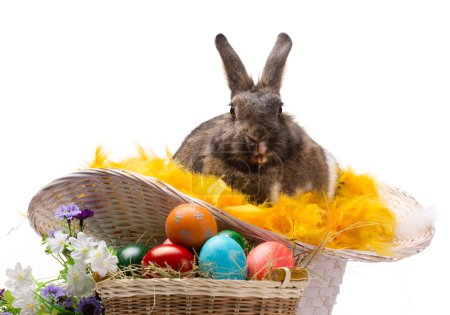 easter bunny, colorful eggs and flowers