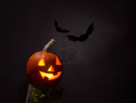 halloween pumhkin and bats