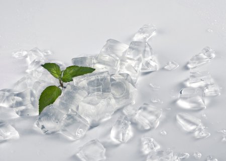 ice and plant