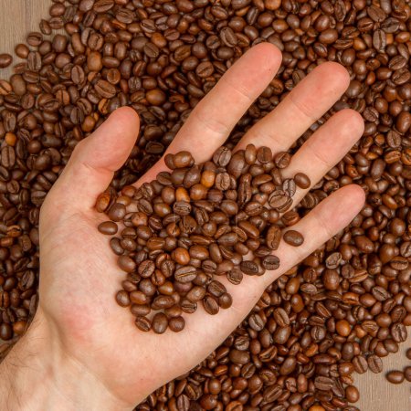 Coffee beans in hand