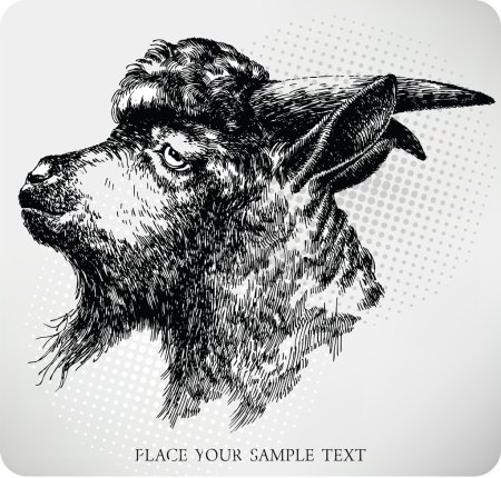 Black horned goat, hand-drawing. Vector illustration