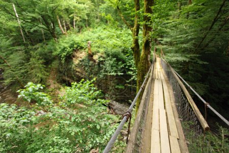 Wooden suspension bridge in wood, wide angle