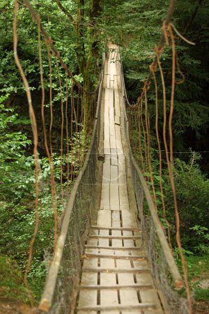 Wooden suspension bridge in wood