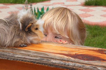 Little girl looking on Guinea pig