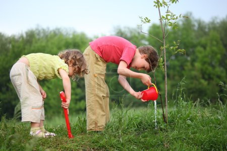 Boy and girl pour on planted tree