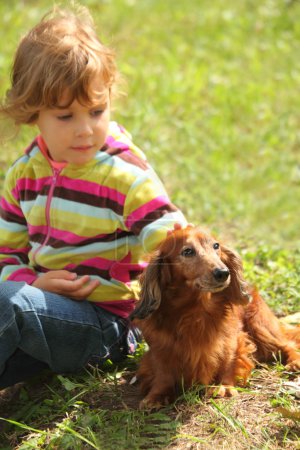 Little girl with dachshund sits on grass