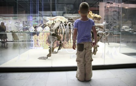 Boy and dinosaurs skeleton