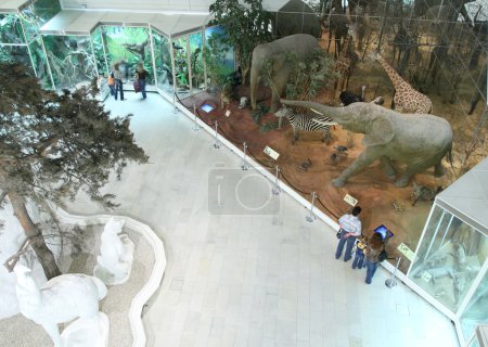 Visitors in natural museum