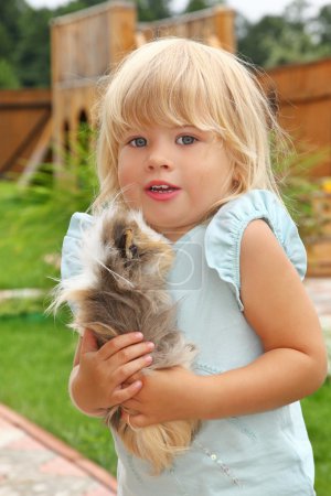 Little girl plays with Guinea pig on meadow