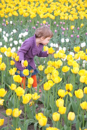 Little girl on field of tulips