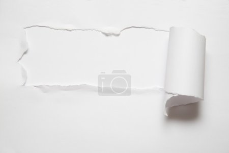The sheet of torn paper against the white background