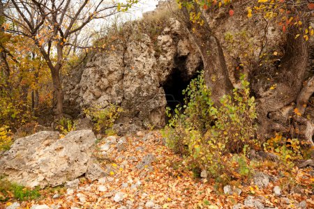 Cavern in autumnal park
