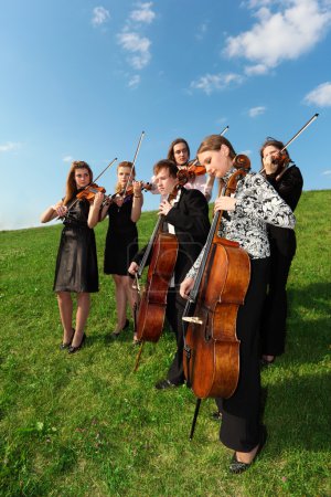 Group of violinists play standing on grass