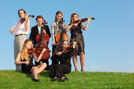 Group of violinists play on grass against sky