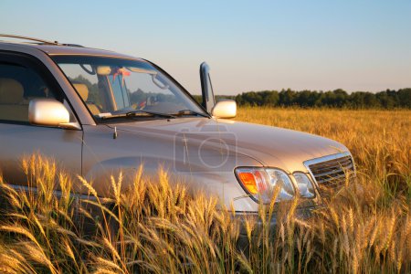 Offroad car on wheaten field