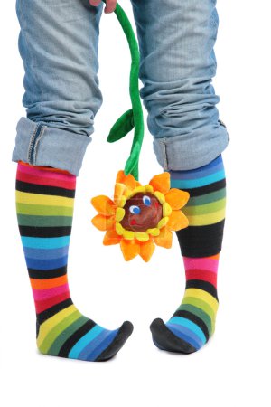 Two feet in multi-coloured socks and sunflower