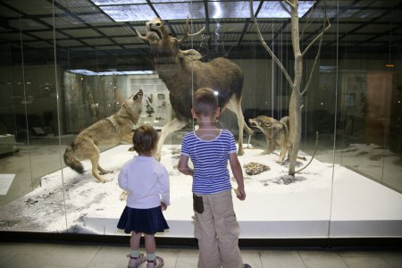 Children in the natural museum