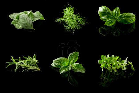 Herbs Collage on black background