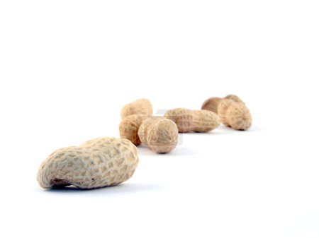 Peanut isolated on white background