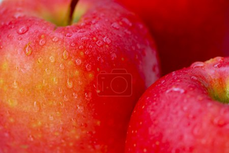 Red apples macro