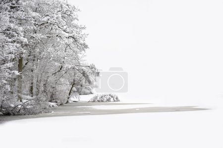 Beautiful Winter forest scene with deep virgin snow