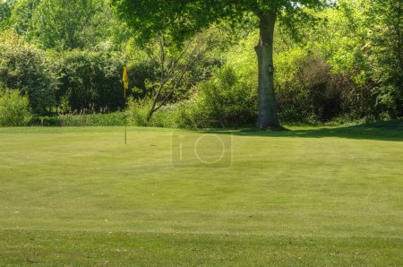 Vibrant image of golf course with flag and fairway in sunny weat