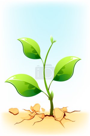 Growing Plant