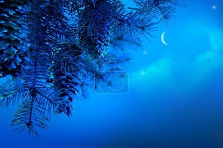 Art Christmas tree branch on a blue night sky background