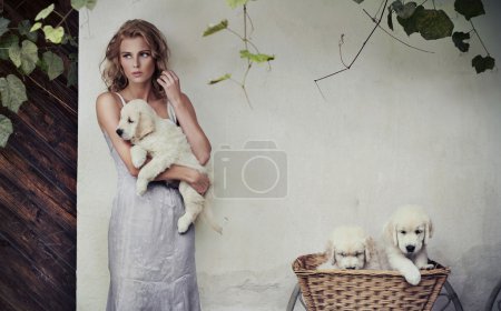 Young beauty and puppies in basket