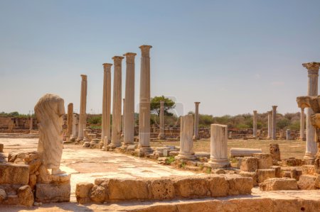 Ancient Roman site in Salamis